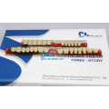 SA31 Dents de résine acrylique à trois couches